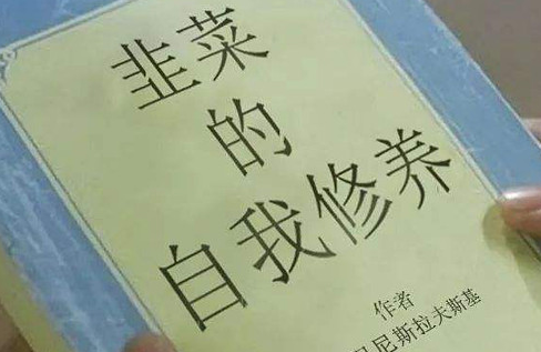 市场回暖策略：汲取回撤教训，有效应对行情波动