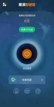 黑洞vp(永久免费)加速器
