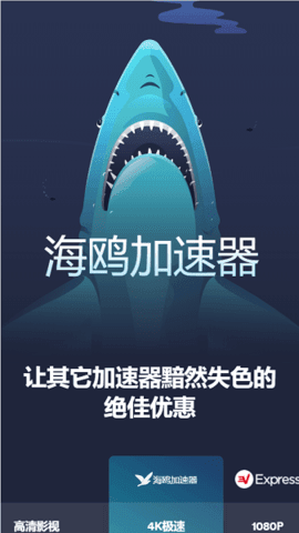 海鸥加速器