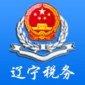辽宁省电子税务局客户端6.3.1.163