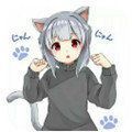 冷狐宝盒app免费版