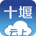 云上十堰安卓版