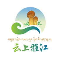 云上雅江手机客户端