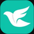飞鸽互动安卓app最新版