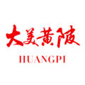 大美黄陂app客户端