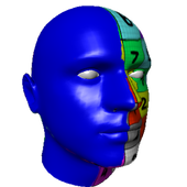 d3d sculptor官方版