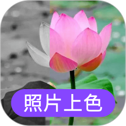 照片上色24.7.26