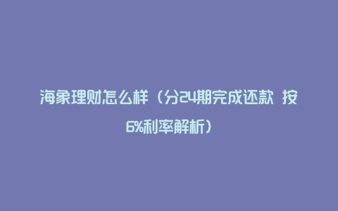 海象理财怎么样(分24期完成还款 按6%利率解析)