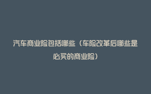 汽车商业险包括哪些(车险改革后哪些是必买的商业险)