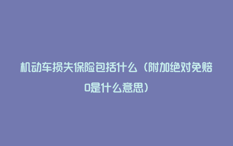 机动车损失保险包括什么(附加绝对免赔0是什么意思)