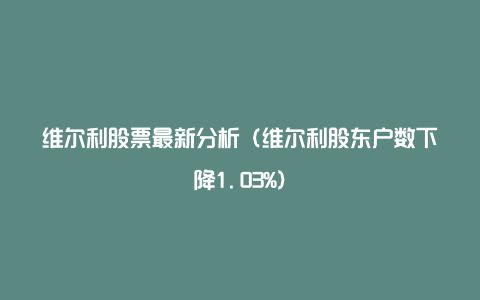 维尔利股票最新分析(维尔利股东户数下降1.03%)