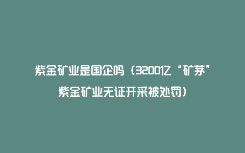 紫金矿业是国企吗(3200亿“矿茅”紫金矿业无证开采被处罚)