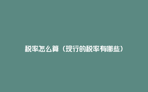 税率怎么算(现行的税率有哪些)