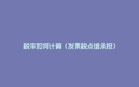 税率如何计算(发票税点谁承担)