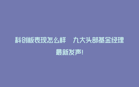 科创板表现怎么样 九大头部基金经理最新发声!