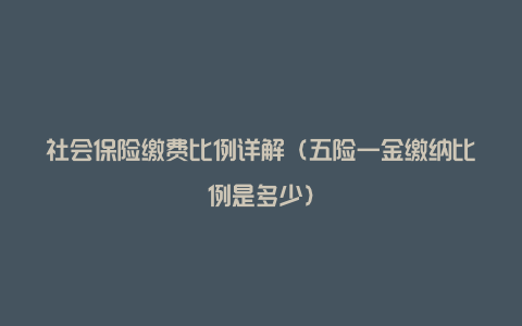 社会保险缴费比例详解(五险一金缴纳比例是多少)