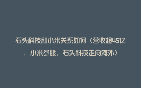 石头科技和小米关系如何(营收超45亿,小米参股,石头科技走向海外)