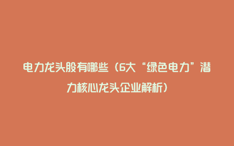 电力龙头股有哪些(6大“绿色电力”潜力核心龙头企业解析)