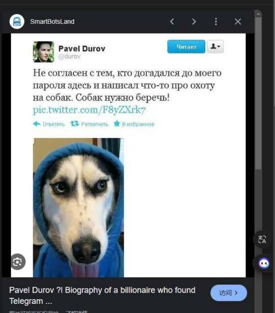 有TG就能领空投》火速窜红的黑白狗 DOGS 是什么来头？病毒传播席卷社群