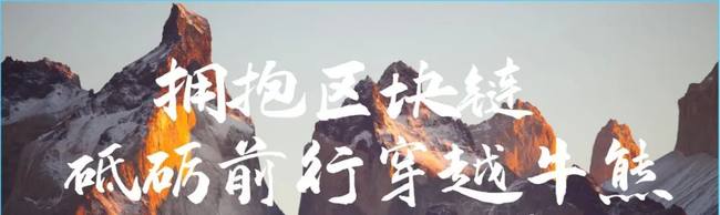PI派币(PiNetwork)：从资金盘到注意力盘的范式革新