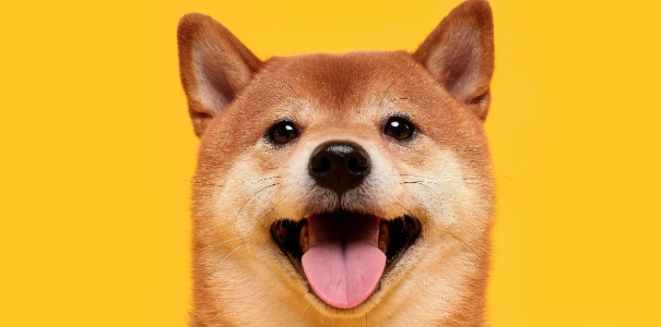 2025年狗狗币价格展望：Doge能否突破1美元大关？