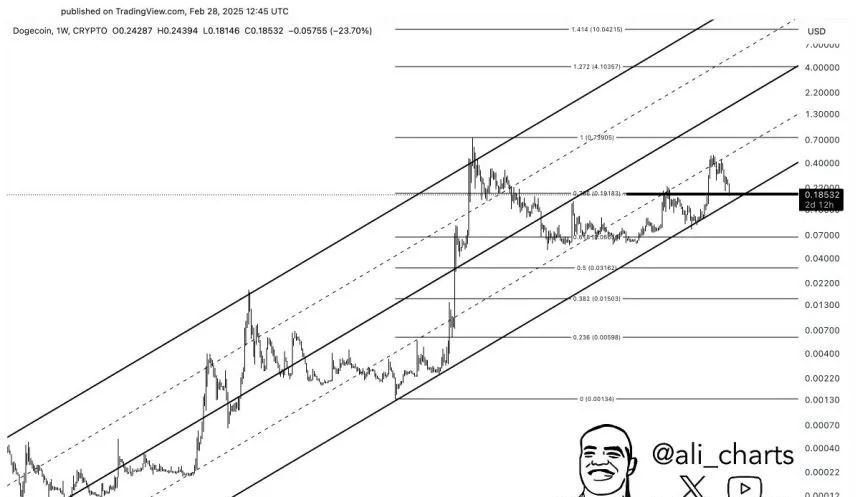 狗狗币(DOGE)关键支撑位稳固,多头能否重夺0.25美元?