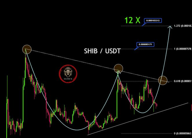 SHIB烧钱率飙升5000%，柴犬币价格能否迎来暴涨？