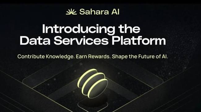 binance领投SaharaAI获4900万美金，测试网即将上线，AI+隐私计算赛道新王者崛起？
