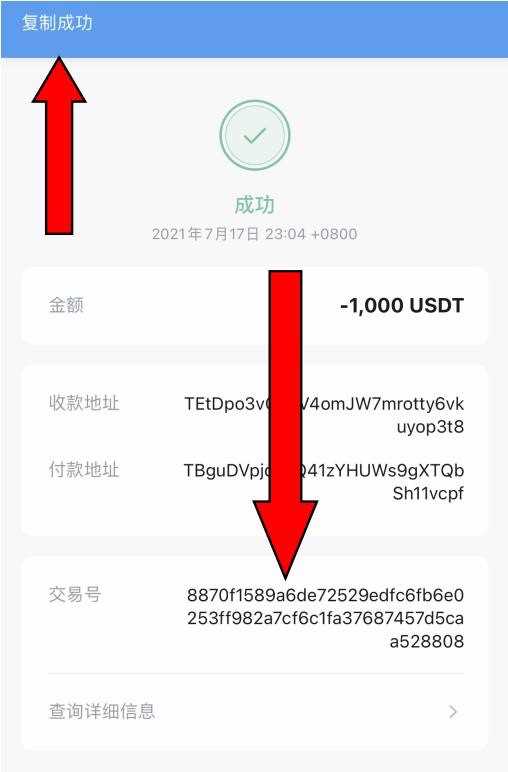 区块链常见骗局汇总，如何使用USDT天眼浏览器查询风险？
